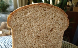 50% Whole Wheat Sandwich Bread