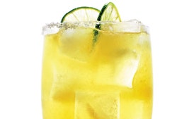 Agave Margarita