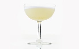 Autumn Gin Sour